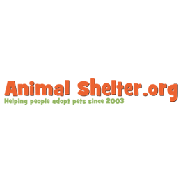 animal-shelter-org